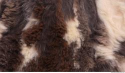 Photo Textures of Fur